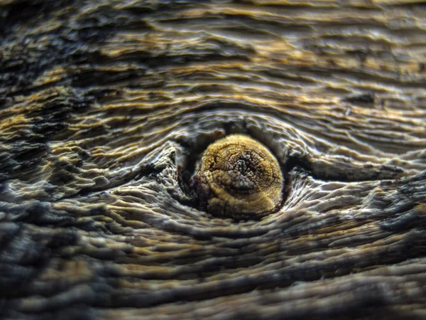 pürüzlü yüzeyi çok renkli boya