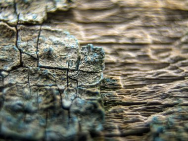 pürüzlü yüzeyi çok renkli boya