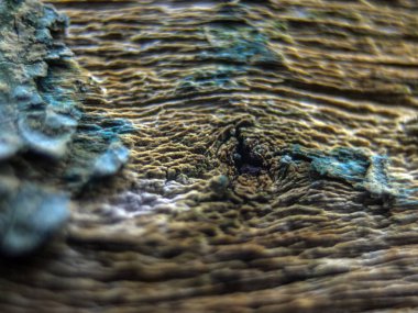 pürüzlü yüzeyi çok renkli boya