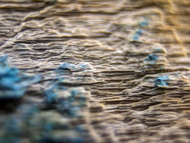 pürüzlü yüzeyi çok renkli boya