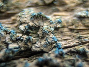 pürüzlü yüzeyi çok renkli boya