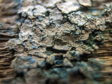 pürüzlü yüzeyi çok renkli boya