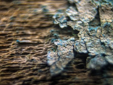 pürüzlü yüzeyi çok renkli boya