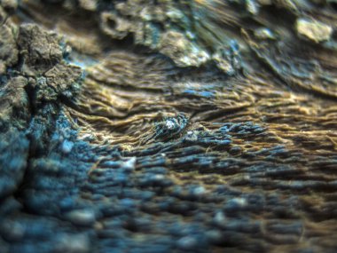 pürüzlü yüzeyi çok renkli boya