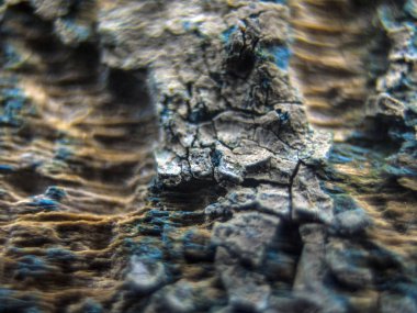 pürüzlü yüzeyi çok renkli boya