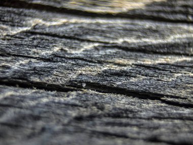 pürüzlü yüzeyi çok renkli boya