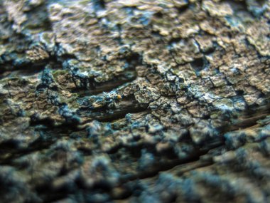 pürüzlü yüzeyi çok renkli boya