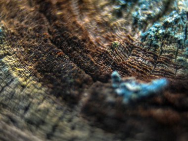 pürüzlü yüzeyi çok renkli boya