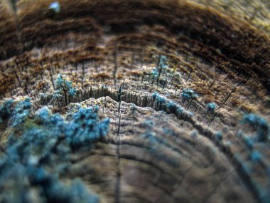 pürüzlü yüzeyi çok renkli boya