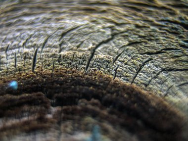 pürüzlü yüzeyi çok renkli boya