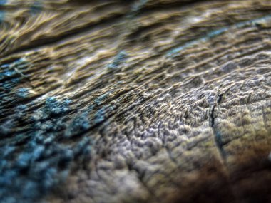 pürüzlü yüzeyi çok renkli boya