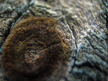 pürüzlü yüzeyi çok renkli boya