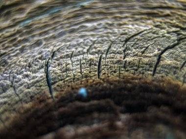 pürüzlü yüzeyi çok renkli boya