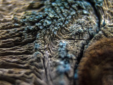 pürüzlü yüzeyi çok renkli boya