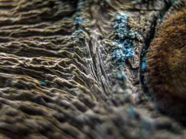 pürüzlü yüzeyi çok renkli boya