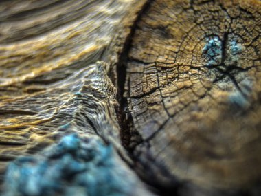 pürüzlü yüzeyi çok renkli boya