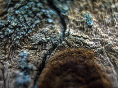 pürüzlü yüzeyi çok renkli boya