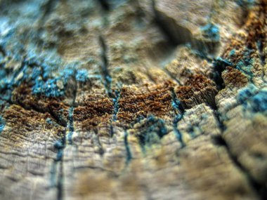 pürüzlü yüzeyi çok renkli boya