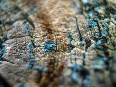 pürüzlü yüzeyi çok renkli boya