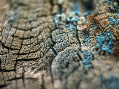 pürüzlü yüzeyi çok renkli boya