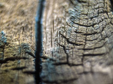 pürüzlü yüzeyi çok renkli boya