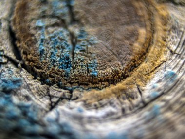 pürüzlü yüzeyi çok renkli boya