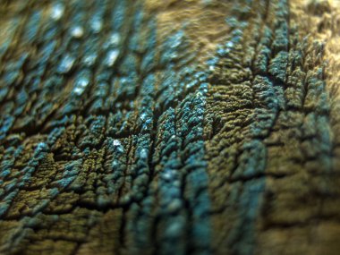 pürüzlü yüzeyi çok renkli boya