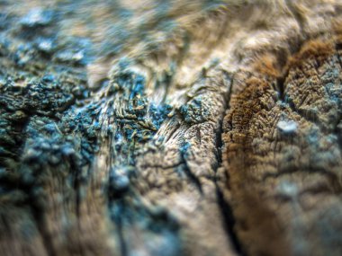 pürüzlü yüzeyi çok renkli boya