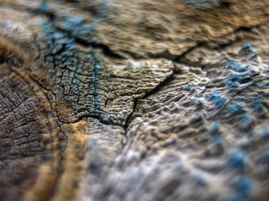 pürüzlü yüzeyi çok renkli boya