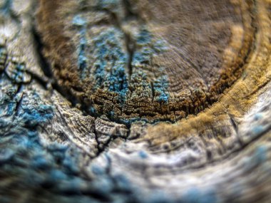 pürüzlü yüzeyi çok renkli boya