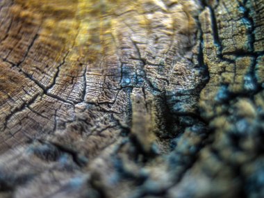 pürüzlü yüzeyi çok renkli boya