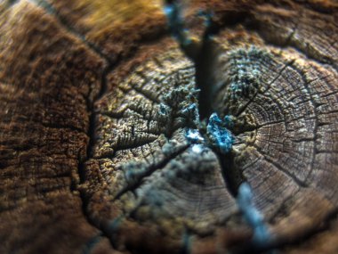 pürüzlü yüzeyi çok renkli boya