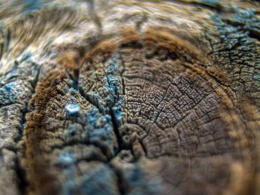 pürüzlü yüzeyi çok renkli boya