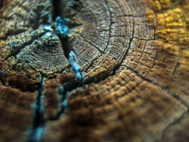 pürüzlü yüzeyi çok renkli boya