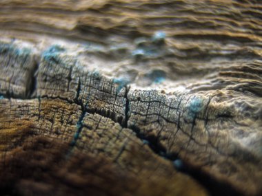 pürüzlü yüzeyi çok renkli boya