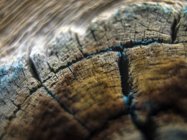 pürüzlü yüzeyi çok renkli boya