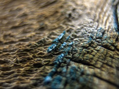 pürüzlü yüzeyi çok renkli boya