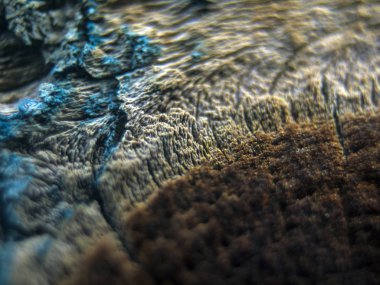 pürüzlü yüzeyi çok renkli boya