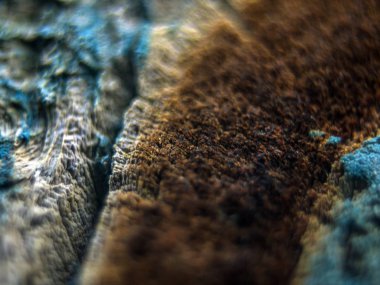 pürüzlü yüzeyi çok renkli boya