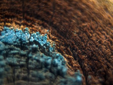 pürüzlü yüzeyi çok renkli boya