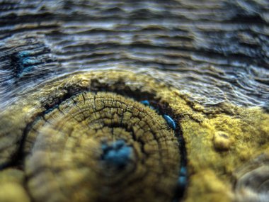 pürüzlü yüzeyi çok renkli boya