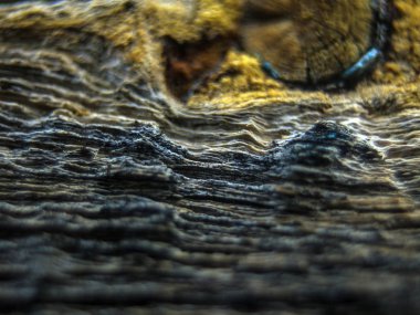 pürüzlü yüzeyi çok renkli boya