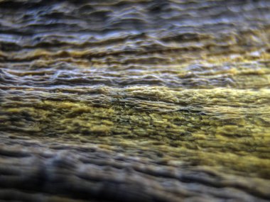 pürüzlü yüzeyi çok renkli boya