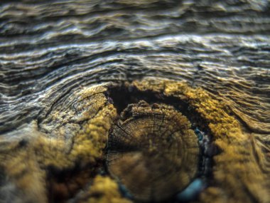 pürüzlü yüzeyi çok renkli boya