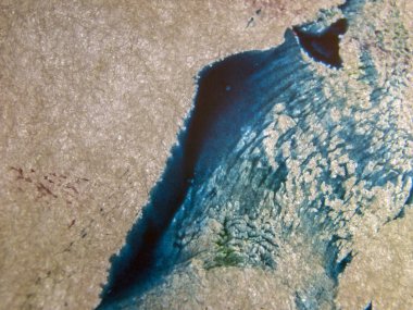 pürüzlü yüzeyi çok renkli boya