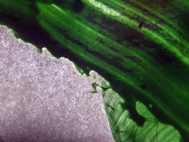 pürüzlü yüzeyi çok renkli boya