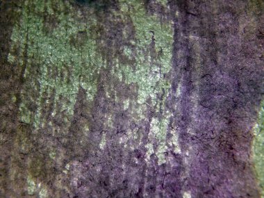 pürüzlü yüzeyi çok renkli boya