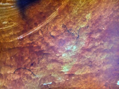 pürüzlü yüzeyi çok renkli boya