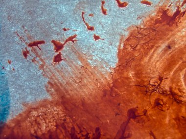 pürüzlü yüzeyi çok renkli boya