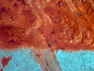 pürüzlü yüzeyi çok renkli boya